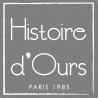 Histoire d'Ours